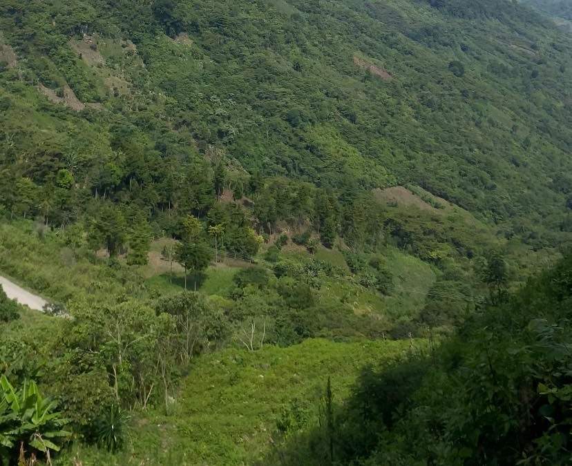 Zona donde se proyecta la construcción de la carretera San Cristóbal-Palenque, Chiapas