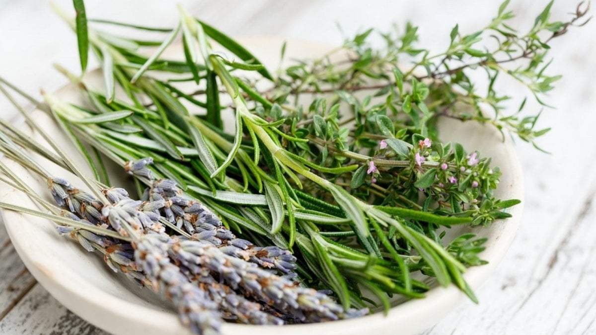 Romero, aromático y relajante. Fuente: (Twitter)