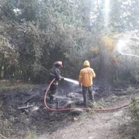 A pesar de las advertencias y prohibiciones, siguen las quemas forestales en la cordillera