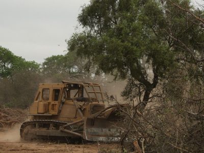 Ponen un parate a los desmontes ilegales en Salta: hay 7 departamentos en la mira