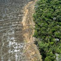 Millones en Brasil estarán en peligro por el calor extremo debido a la deforestación de la Amazonia