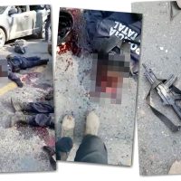 El desafío del narco (Video)