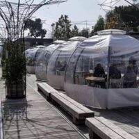 Una farmacéutica de Israel iniciará ensayos clínicos con una vacuna contra el covid en pastilla