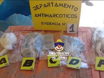 En un allanamiento por robo la policía halló drogas y demoró a una persona en Neuquén