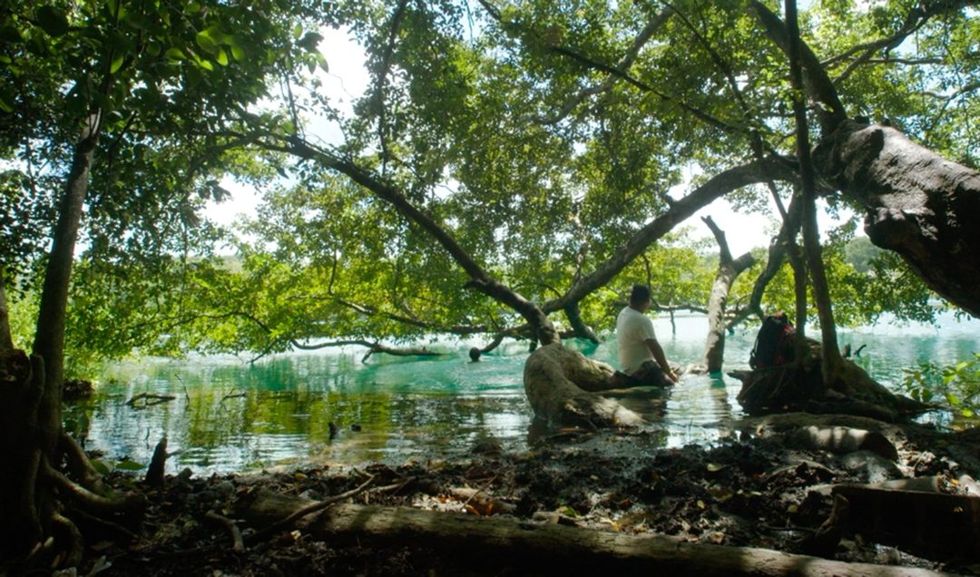 02-cenote