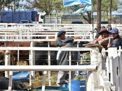 Río Negro defiende su agro y anunció una inversión millonaria para expandir la producción