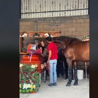 Así fue el emotivo funeral de la activista Elena Larrea en Cuacolandia (Video)
