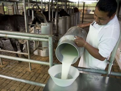 Leche y derivados: se podrían modificar las retenciones en este rubro