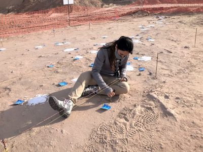 UNCo expondrá huevos de dinosaurios hallados en 2021