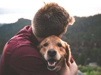 No gastés más en golosinas para perros y sorprendé a tu mascota con estas galletas hechas en casa