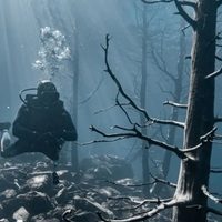 La fotógrafa que retrata el bosque sumergido del lago Traful: "Es un Disney bajo el agua"