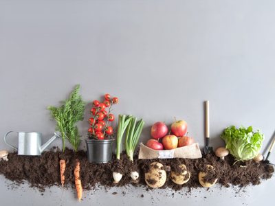 Compostaje: conocé la tendencia que no puede faltar en un hogar eco friendly