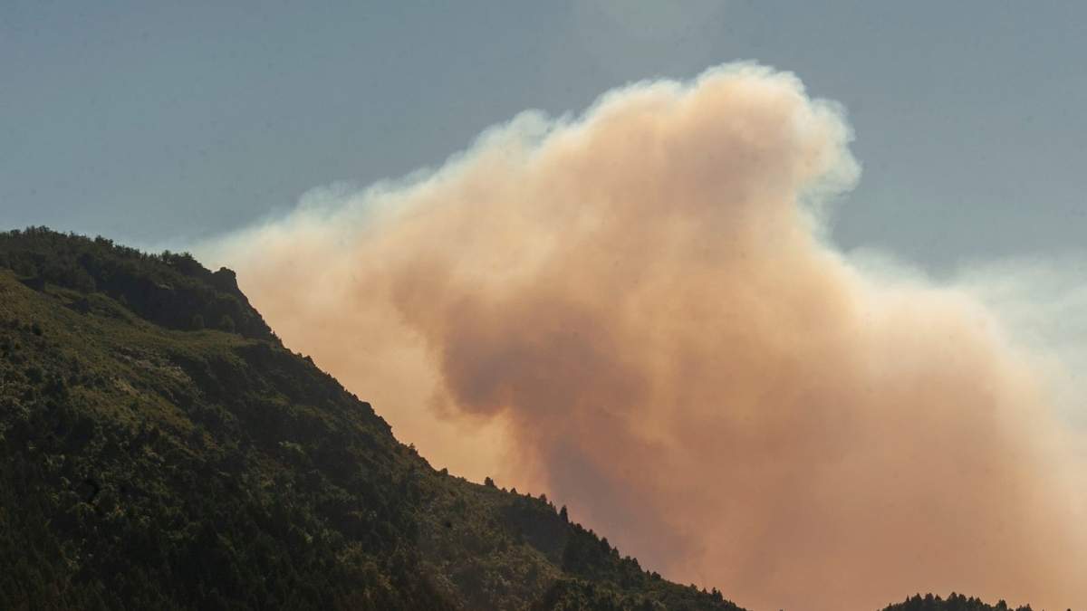 Incendio en Río Negro. Fuente: (Twitter)