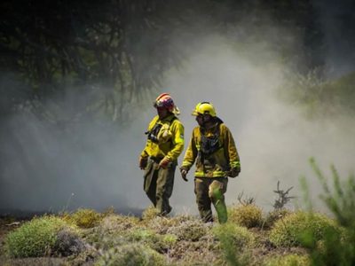 Incendios forestales: el COE centraliza la lucha contra 12 focos de Fuego en la zona Cordillerana