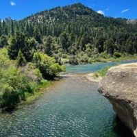 Un trabajador del Parque Nacional Lanín murió ahogado tras ser arrastrado por el agua en el río Caleufú