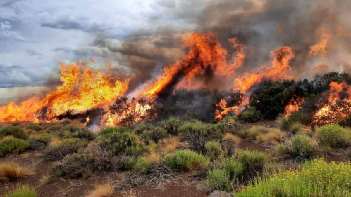 Incendio en Loncopué. Fuente: (Twitter)