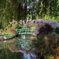 Los jardines de Monet: postales impresionistas para conocer en la web