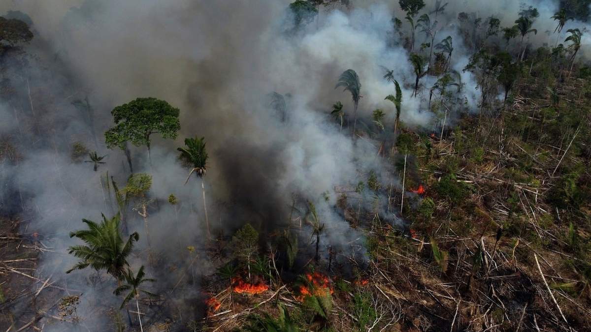 Incendio forestal en la región de la carretera Transamazónica