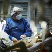 Coronavirus en Río Negro: 6 pacientes fallecidos y 310 nuevos casos