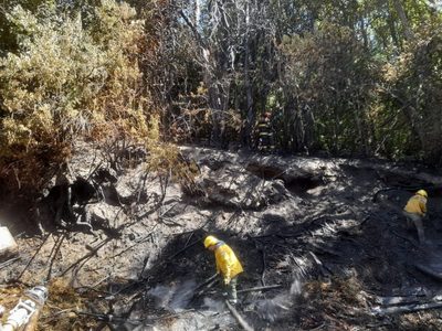 Bomberos voluntarios de Villa La Angostura lograron contener un incendio en el barrio Las Balsas