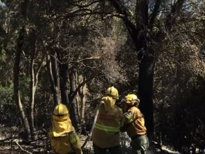 El incendio en Meliquina mantiene focos activos en unas 7 hectáreas de bosques