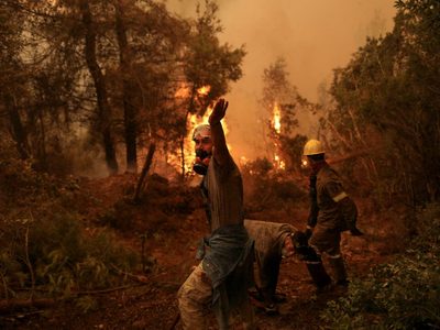 El fuego calcinó más de 300 mil hectáreas en la Unión Europea en 2020, pero este año sería aún peor