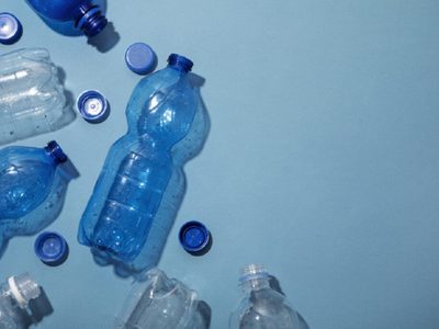 Con solo 1 botella plástica: creá la maceta colgante más llamativa y original