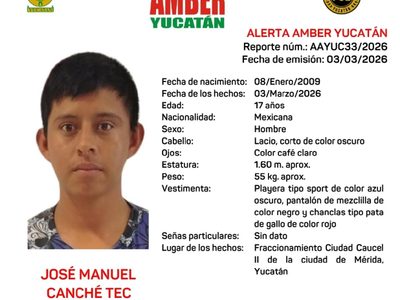 Entre fugas y falta de traductores: la odisea institucional de una madre para recuperar a su hijo