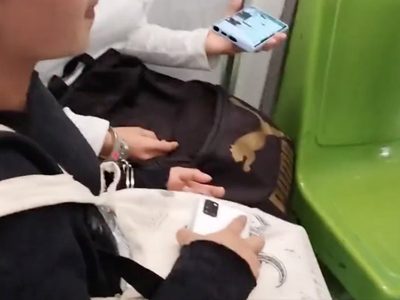 Detienen y esposan a cuatro jóvenes que se quedaron dormidas en un vagón del Metro (Video)