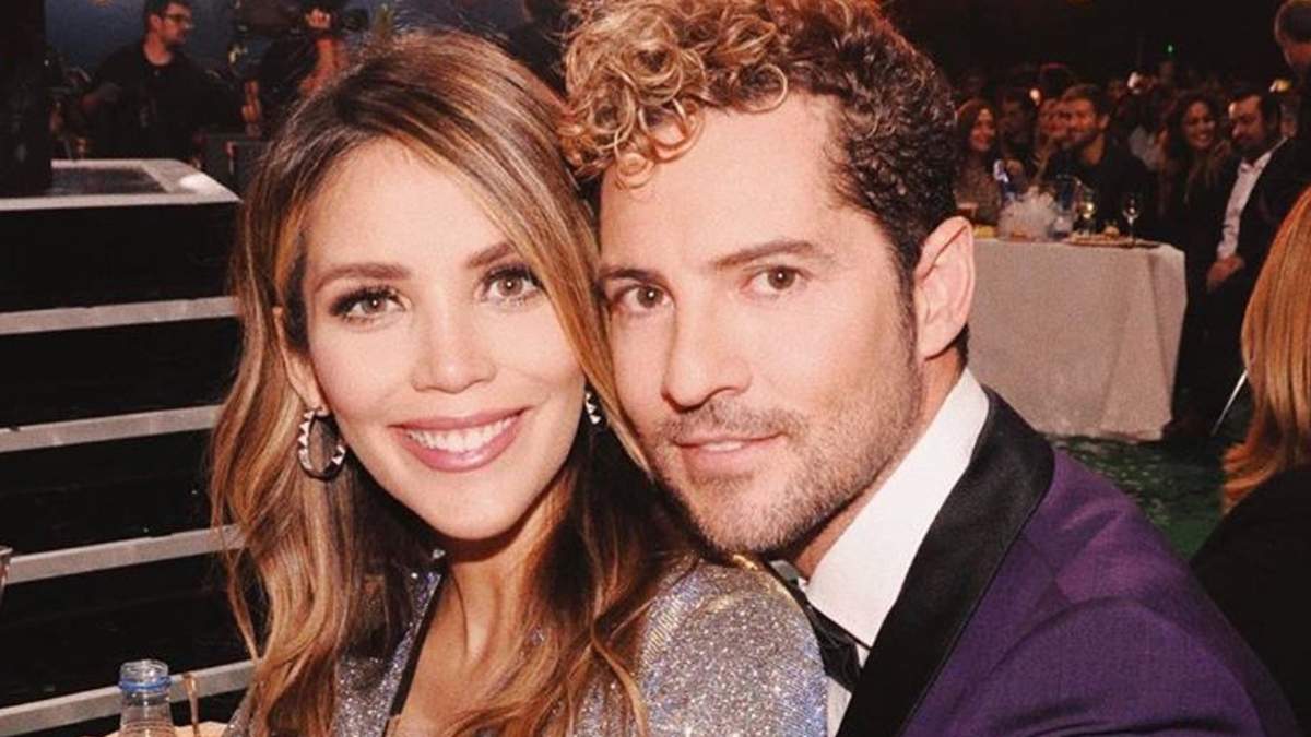 Rosanna Zanetti y David Bisbal. Fuente: (Instagram)