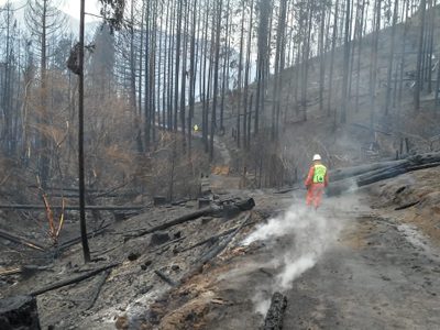 Incendios: el Senado declaró zona de desastre y emergencia a la Comarca Andina