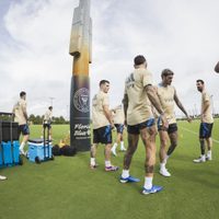 Siguen las malas noticias: la figura de la Selección Argentina fue desafectado por lesión