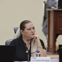 Taddei fracasa en su intento de nombrar a titular de la Secretaría Ejecutiva del INE
