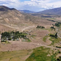 Un rincón que crece en la Ruta 43: El Alamito, el sueño familiar que hoy recibe a viajeros en Neuquén