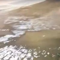 Video: vecinos de Luján reclaman obras urgentes por inundaciones crónicas en Castro Barros y Vieytes