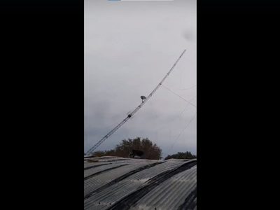 Finalmente, pudieron derribar la antena del galpón incendiado en el Bajo de Neuquén