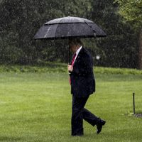 Donald Trump cada vez más solo: el fiscal general dice que no hubo fraude