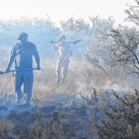 Dan nuevas precisiones respecto del incendio cercano a Río Colorado