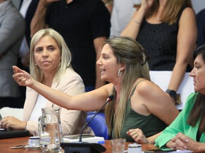 La respuesta de Lospennato a Milei por acusar al PRO de acordar con CFK