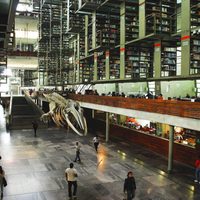 Deja Abraham Nuncio la dirección de la Biblioteca Vasconcelos