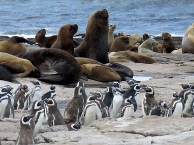Islote Lobos es Parque Nacional