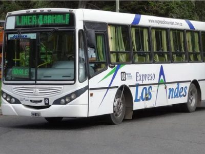 Después de tres días, San Martín de los Andes volvió a tener servicio de colectivos