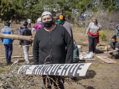 Denunciaron a una jueza por "entrega" de tierras a Mapuches