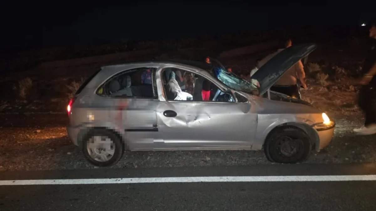 Un auto chocó contra un caballo en la Ruta Provincial 5. Fuente: (Facebook)