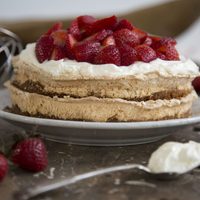 Torta Blitz: la receta sencilla que viene de Noruega, perfecta como postre o para una tarde a puros mates