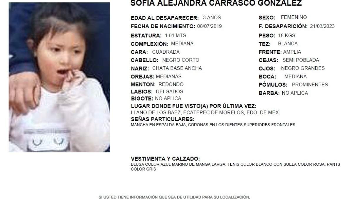 La ficha de búsqueda de Sofía Alejandra