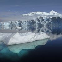 Alerta ambiental: el hielo marino de la Antártida alcanzaría el nivel más bajo de su historia