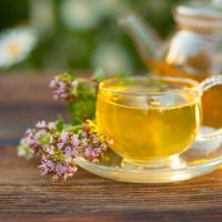 El té "mágico" con una planta muy fácil de conseguir que protegerá tu salud al máximo