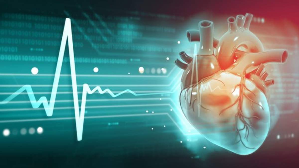 Enfermedad cardiovascular