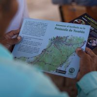 En medio de la pandemia, SCT da un plazo de cuatro años para concluir el Tren Maya